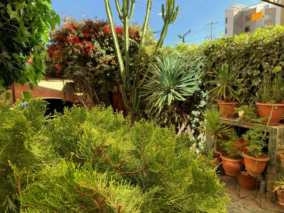 Hotel The King Sun Garden Cuzco Zewnętrze zdjęcie